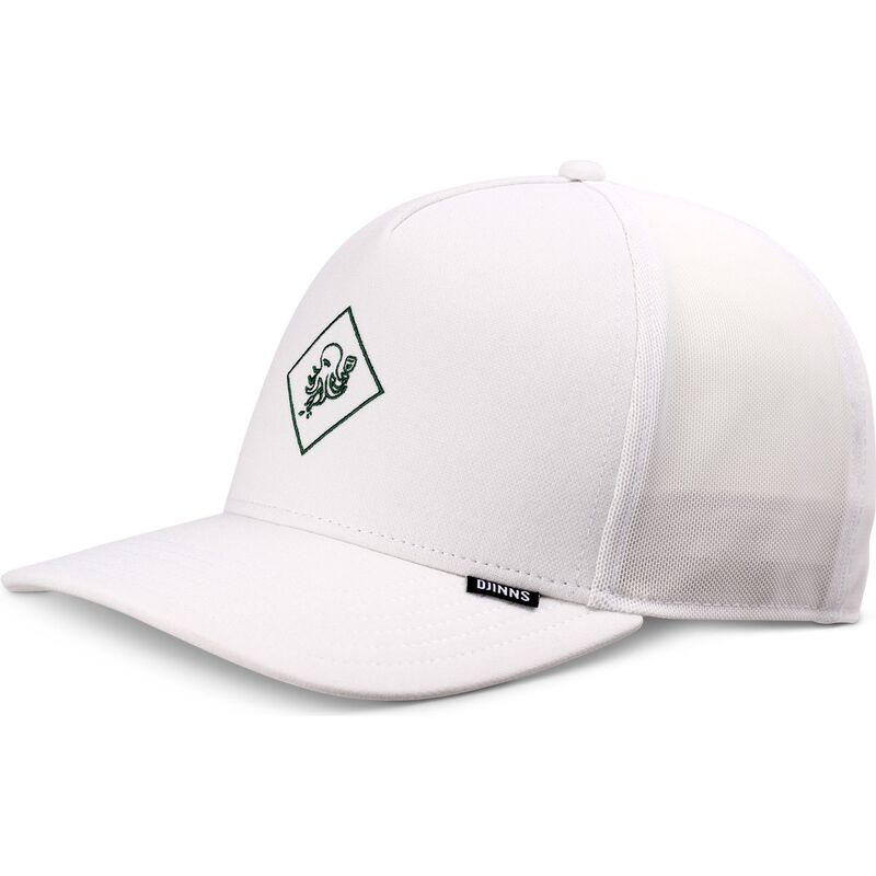 siltovky-zaoblena-kamionista-biely-snapback-hft-finefine-djinns