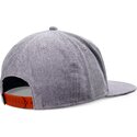cap-rovna-gray-snapback-djinns