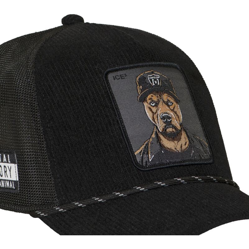 cap-zaoblena-black-snapback-hip-hop-dogz-capslab