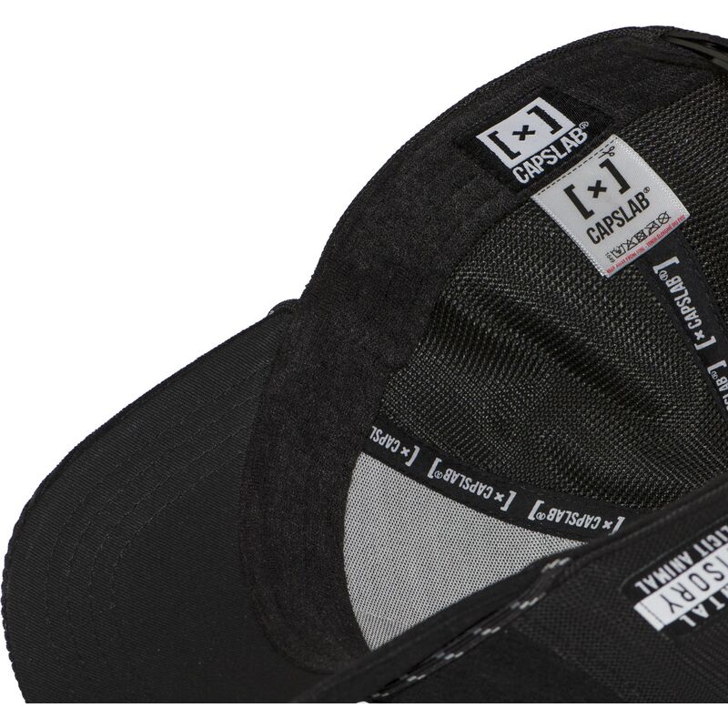 cap-zaoblena-black-snapback-hip-hop-dogz-capslab