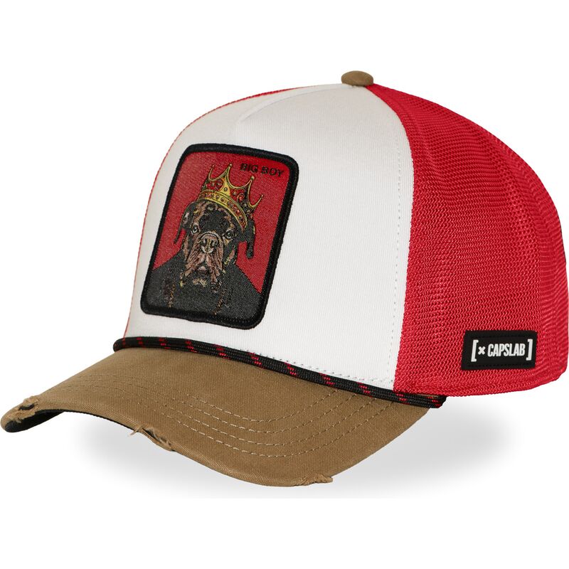 mehrfarbige-trucker-kappe-big-boy-hip-bigb-hip-hop-dogz-von-capslab mehrfarbige-trucker-kappe-big-boy-hip-bigb-hip-hop-dogz-von-capslab