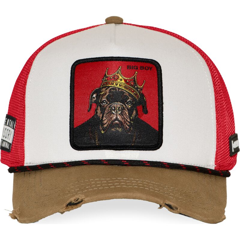 cap-zaoblena-multicolor-snapback-hip-hop-dogz-capslab