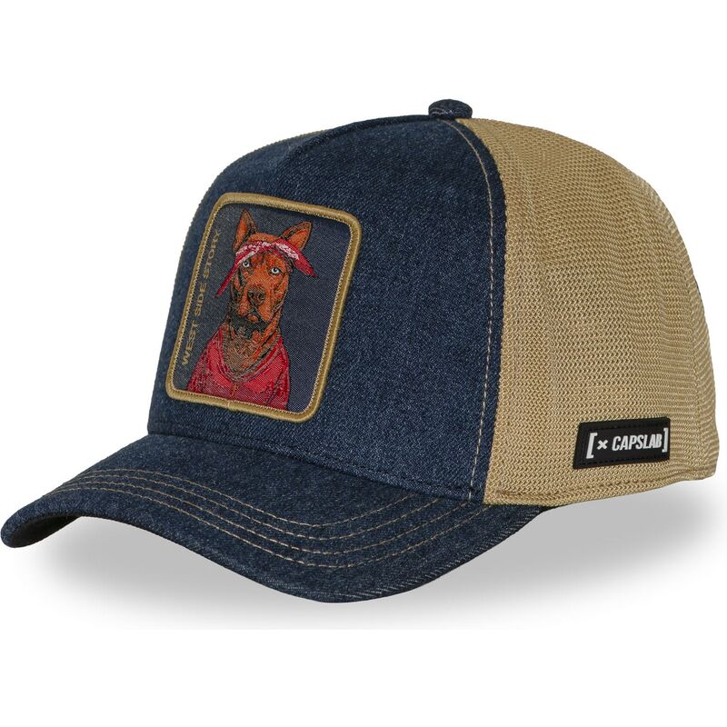 cap-zaoblena-multicolor-snapback-hip-hop-dogz-capslab
