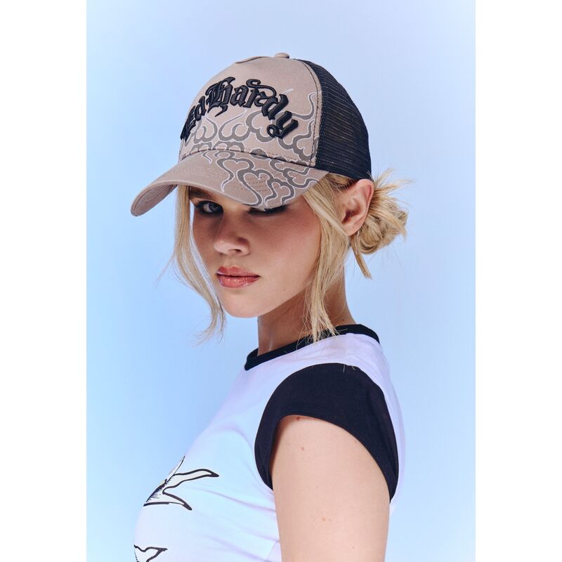 siltovka-zaoblena-siva-snapback-flaming-ed-hardy