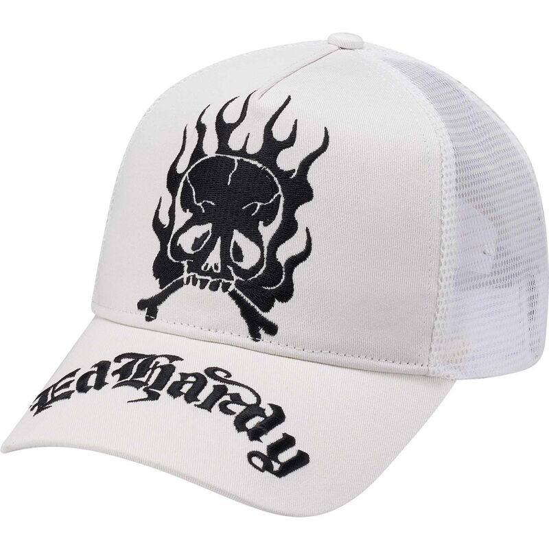 siltovka-zaoblena-biely-snapback-gothic-skull-in-flames-ed-hardy