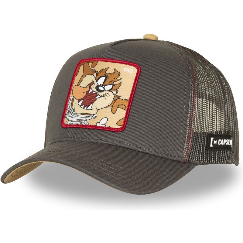 siltovka-zaoblena-hneda-snapback-tasmansky-diabol-looney-tunes-capslab