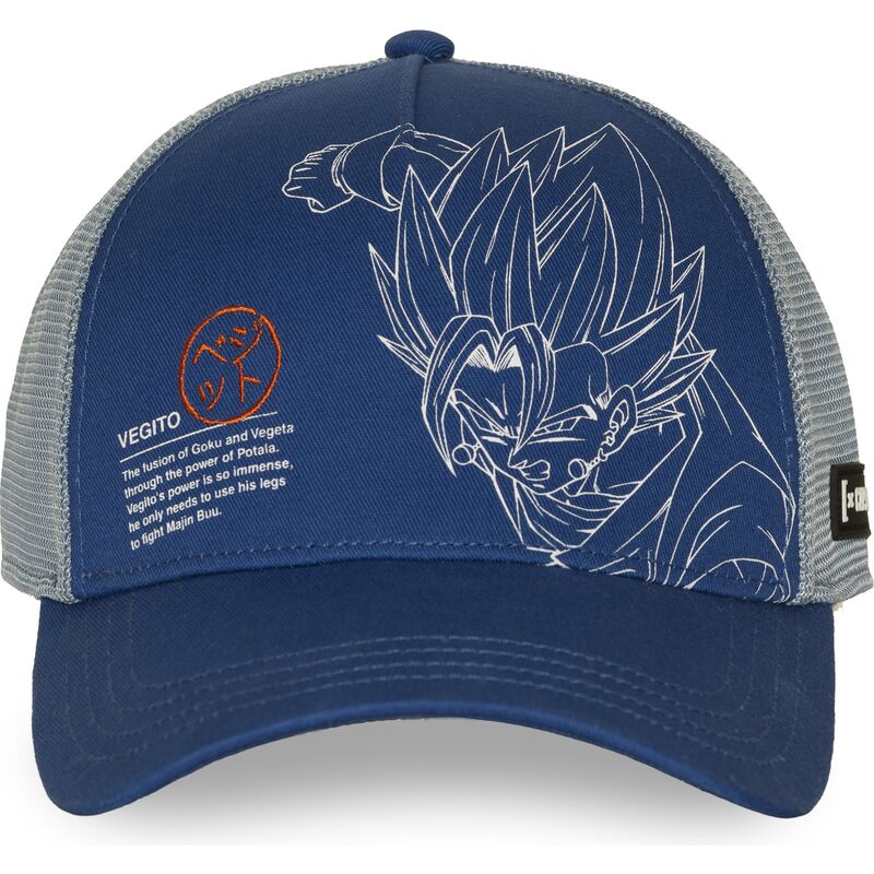 siltovka-zaoblena-modra-snapback-dbz11-pcbitob-vegito-dragon-ball-capslab
