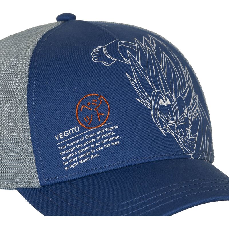 siltovka-zaoblena-modra-snapback-dbz11-pcbitob-vegito-dragon-ball-capslab
