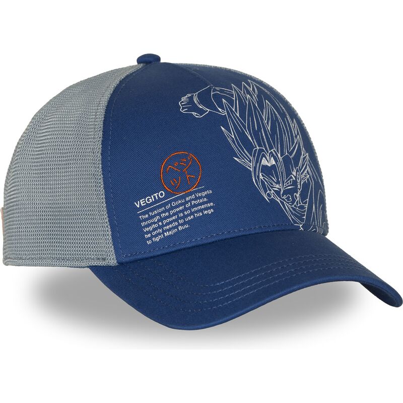 siltovka-zaoblena-modra-snapback-dbz11-pcbitob-vegito-dragon-ball-capslab