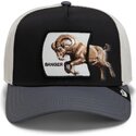 siltovka-zaoblena-viacfarebna-snapback-banger-migration-the-farm-goorin-bros