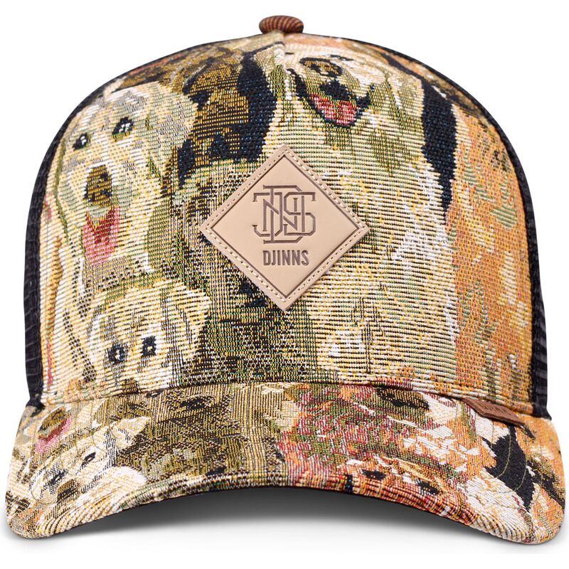 siltovka-zaoblena-viacfarebna-snapback-hft-crasy-sofa-dogs-djinns siltovka-zaoblena-viacfarebna-snapback-hft-crasy-sofa-dogs-djinns
